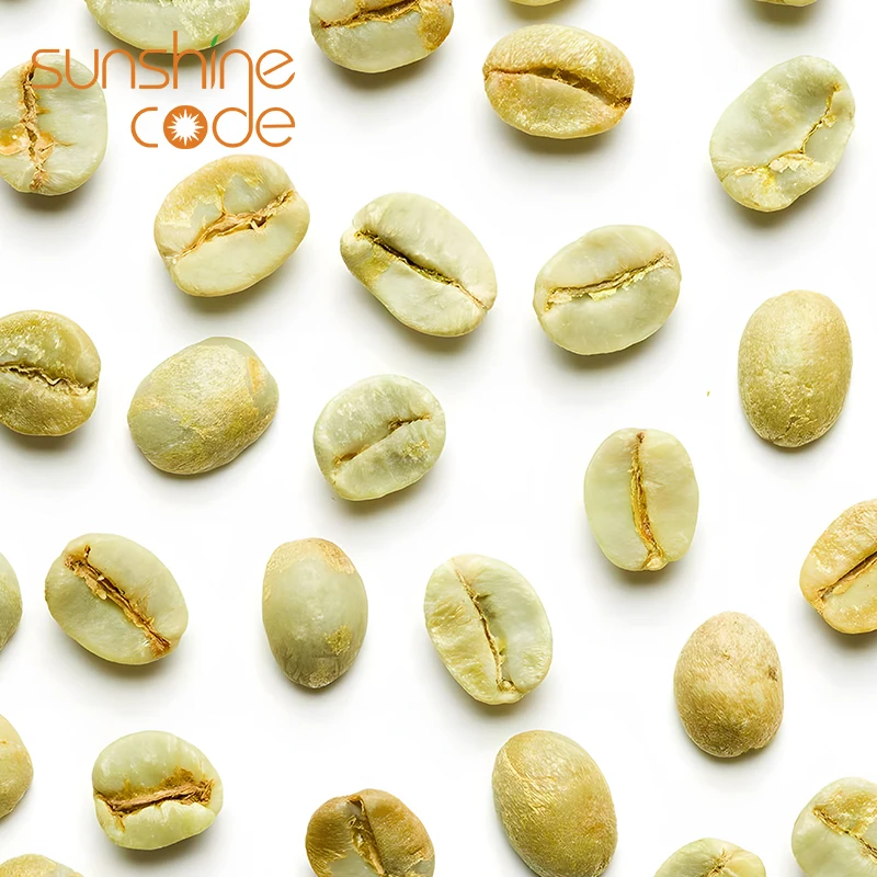 Sunshine Code Vietnam Robusta Screen 18 Coffee Beans Green Price Per Kg Grade 1/2 Specialty Coffee