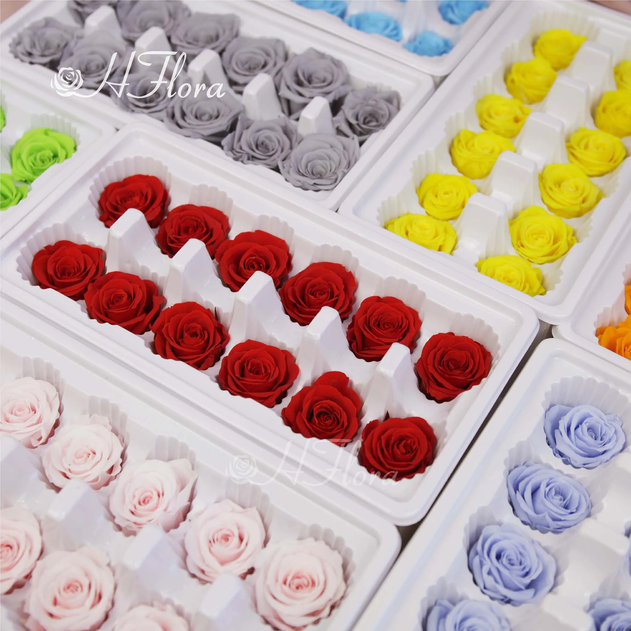 Hflora 3-4cm Mini Small Roses Eternelle Flower Head Valentines Day Roses Head Long Life Preserved Roses Grade A Wholesale In Box