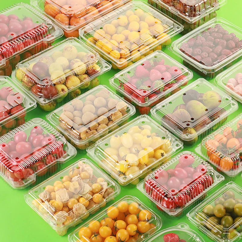 Food Container with Dome Lid Fruit and Salad Packaging Box Transparent PET Plastic Disposable OEM ODM Custom Embossing