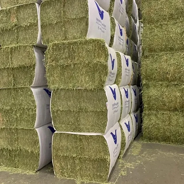 Affordable High-Quality Alfalfa And Timothy Hay For Animal Feed At Discounted Prices Best Animal Feeding Supplier