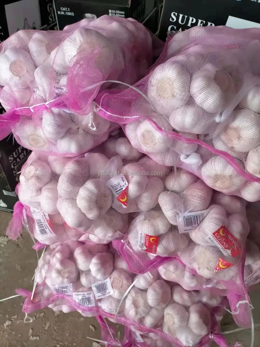 Garlic Planter / Farmer in China with Good Price