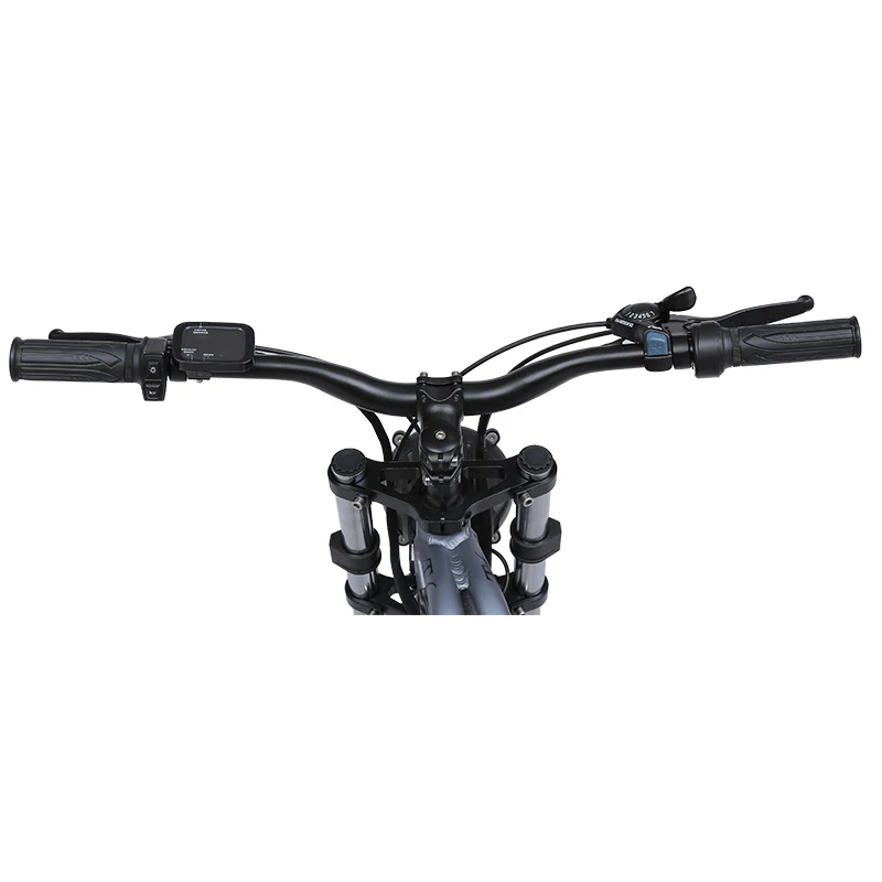 Dropship Smlro Electric Retro ebike Motor Cargo E Bike 7 Speed 20inch Fat tire Snow Bike 48V 1000W 18AH Bicycle For Adult Man