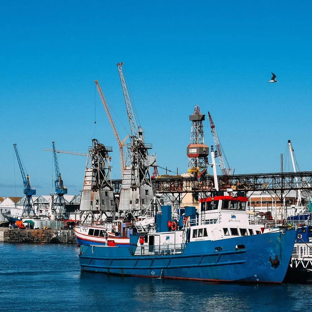 Sea shipping China to BELAWAN freight forwarder China to INDONESIA