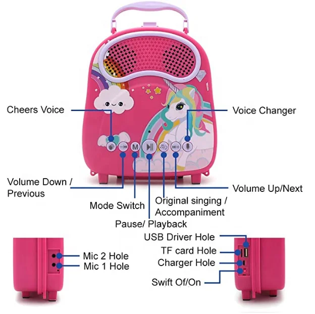 2021 New Arrival Toys Electronics Instruments Children Kids Carry Bag Stereo Music Box Kids Microphone Karaoke System Machine