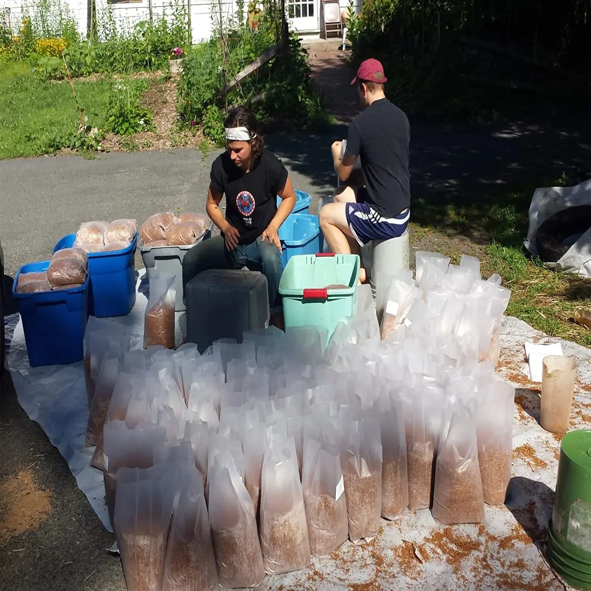 Mushroom Grow Bags Extra Thick 8 Mil Mushroom Bag