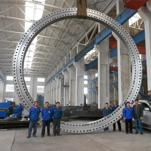 65T Tadano crane slewing ring bearing parts/New mobile crane internal ball bearing ring