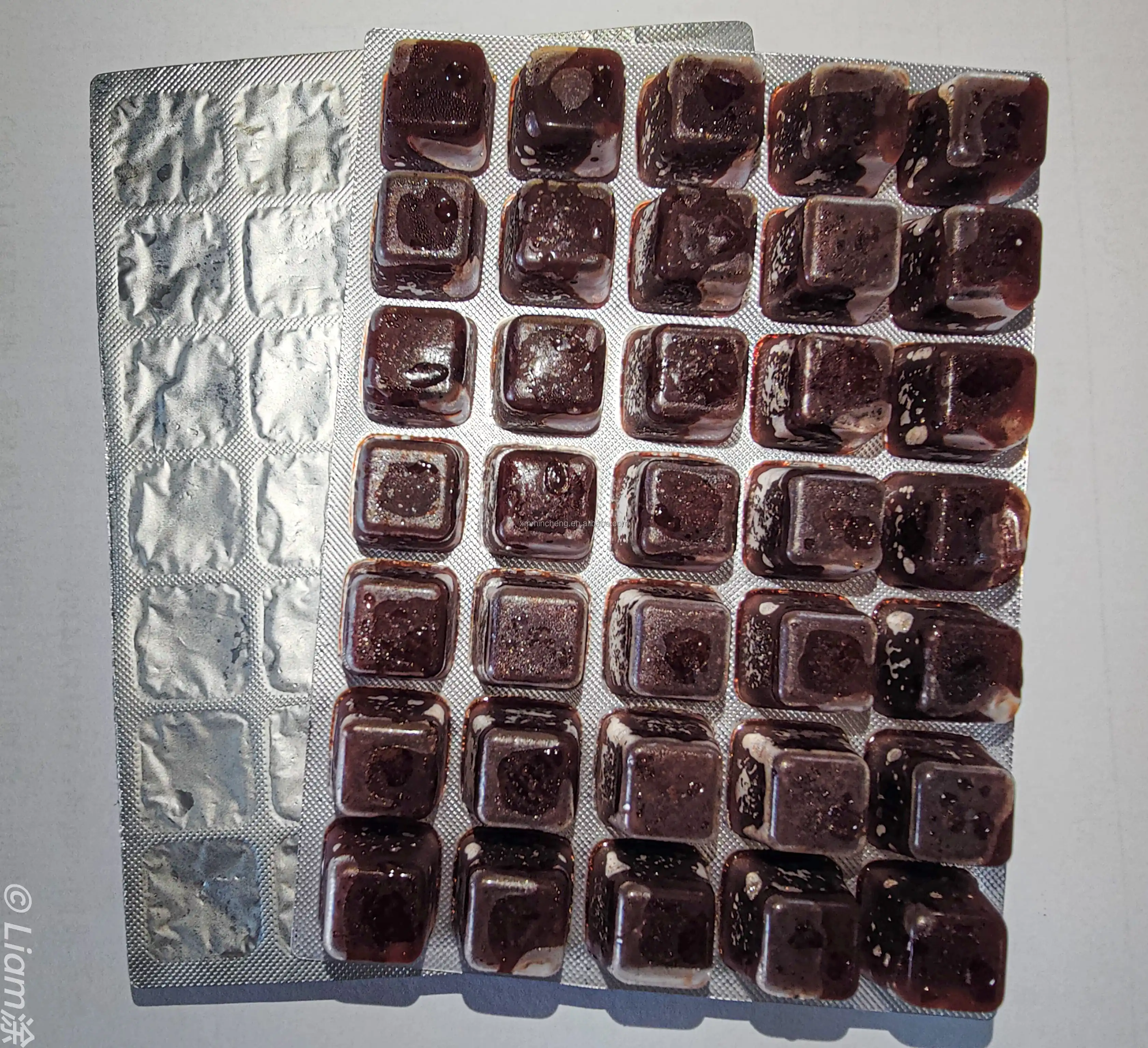 Support customized high-nutrient and high-protein Frozen Bloodworms for fish