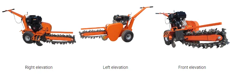 paste-pic-dp_uuid_7ck3e