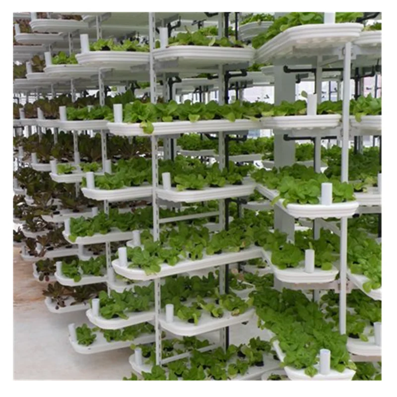 
Cost-effect Commercial Greenhouse with Fully Automatic Hydroponic Grow Systems 