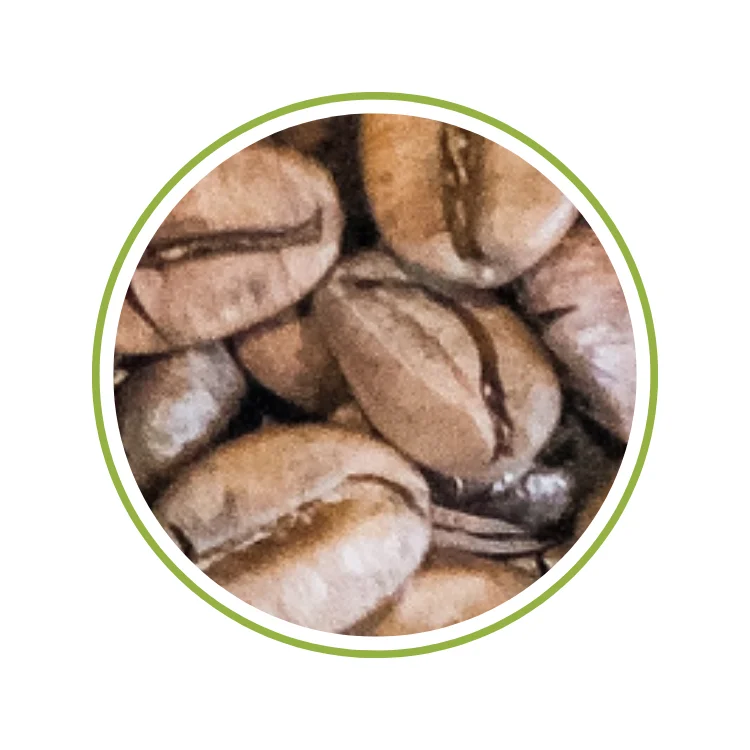Roasted Arabica Catimor Good Price Green Beans Coffee Agricultural Oem Service Vietnamese Coffee Vietnam Coffee Manufacturer
