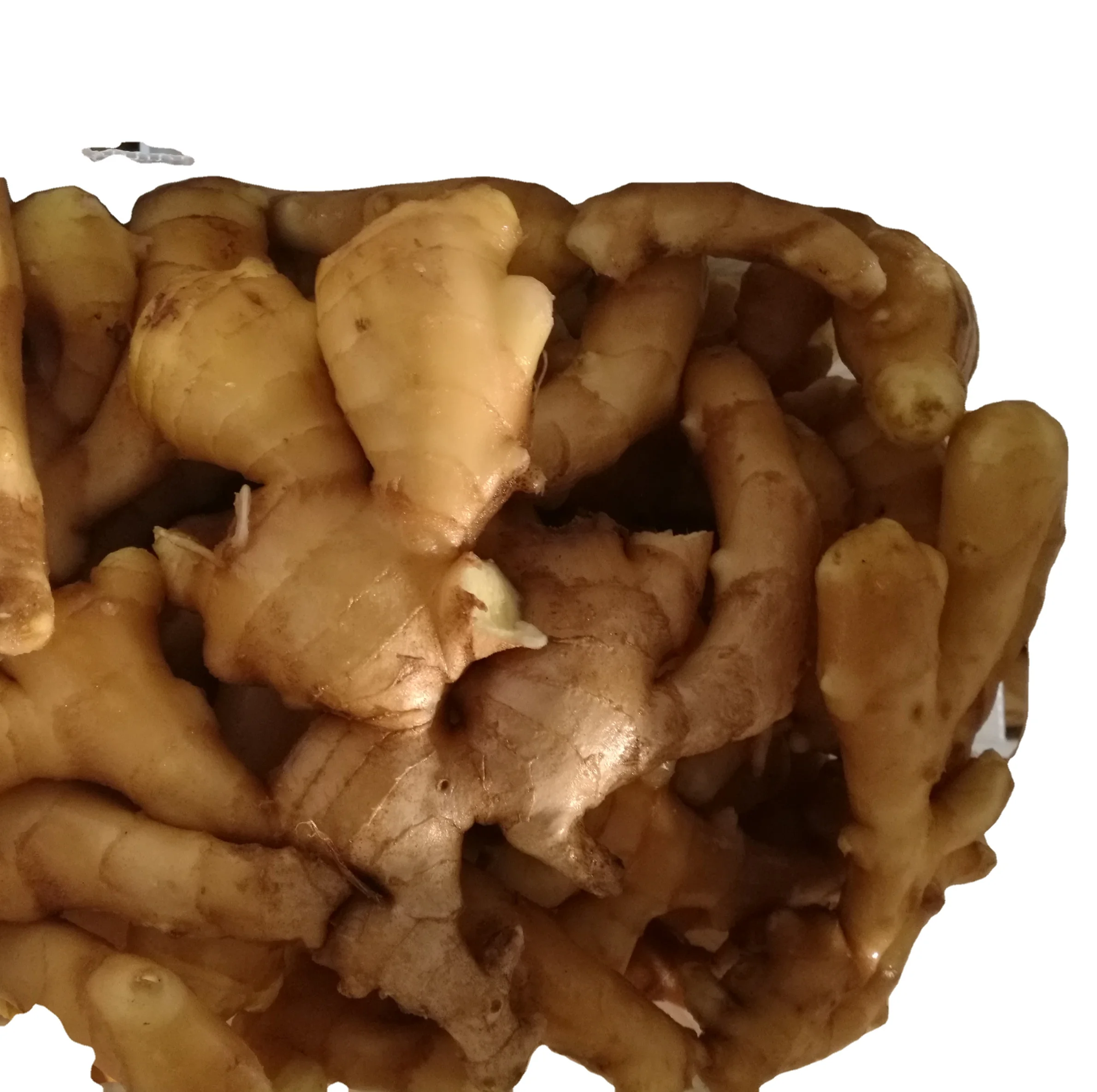 FOB/CFR/CIF price ginger in China