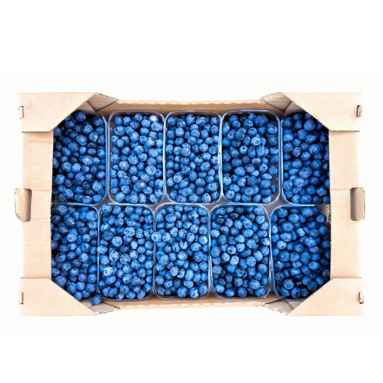 Corrugated Paperboard Bin Box Container Displaying Tray Pastry Kraft Bracelet Cardboard tray Craft Box Packaging