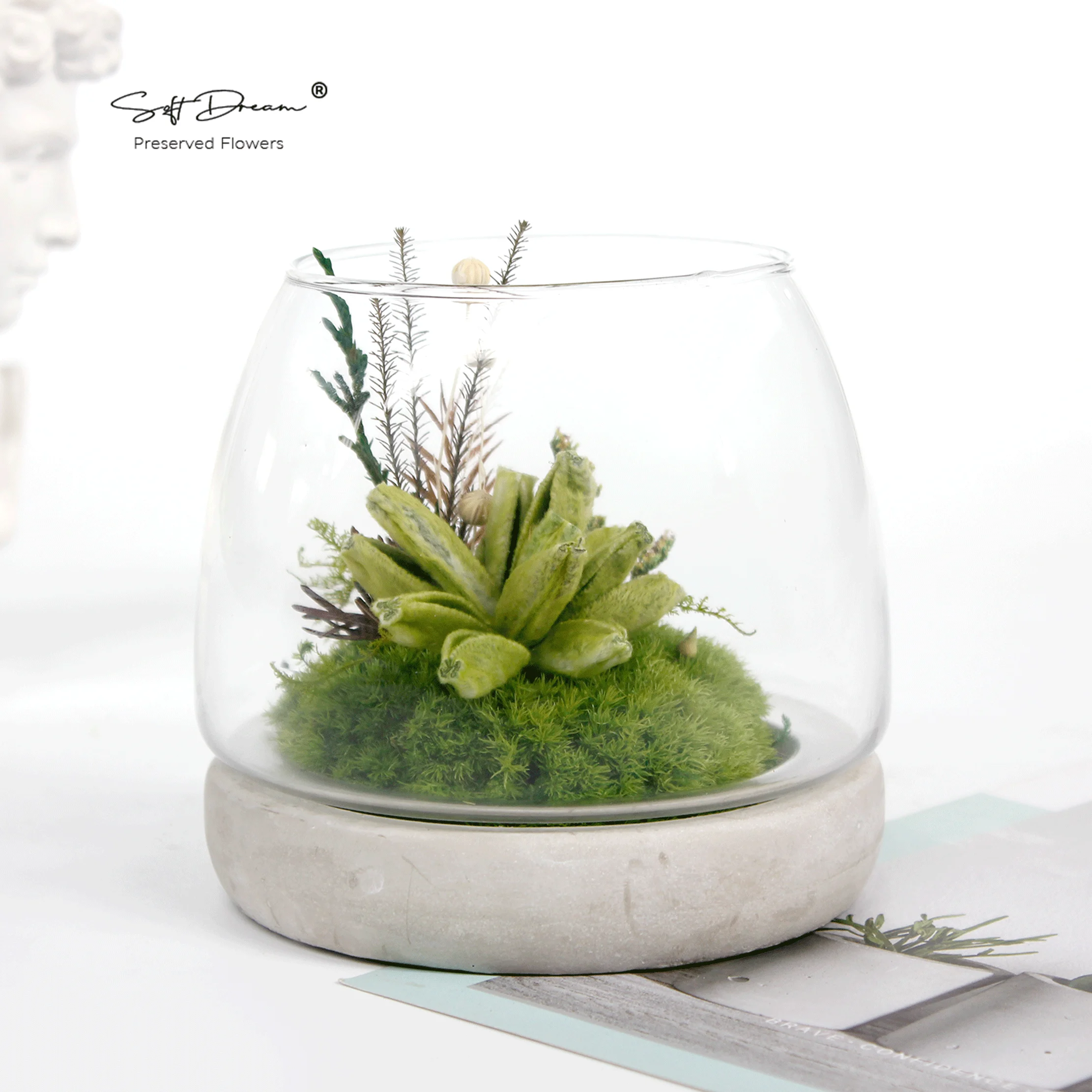 Eternal Beauty: Preserved Moss, Cotton Wool Sage Leaves, and Everlasting Floral Decor for Home and Gift