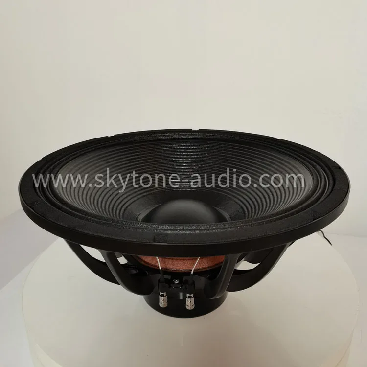 18 sw100 неодимовые 18-дюймовые сабвуферные колонки звуковая система бас большой мощности Па уличный сабвуфер