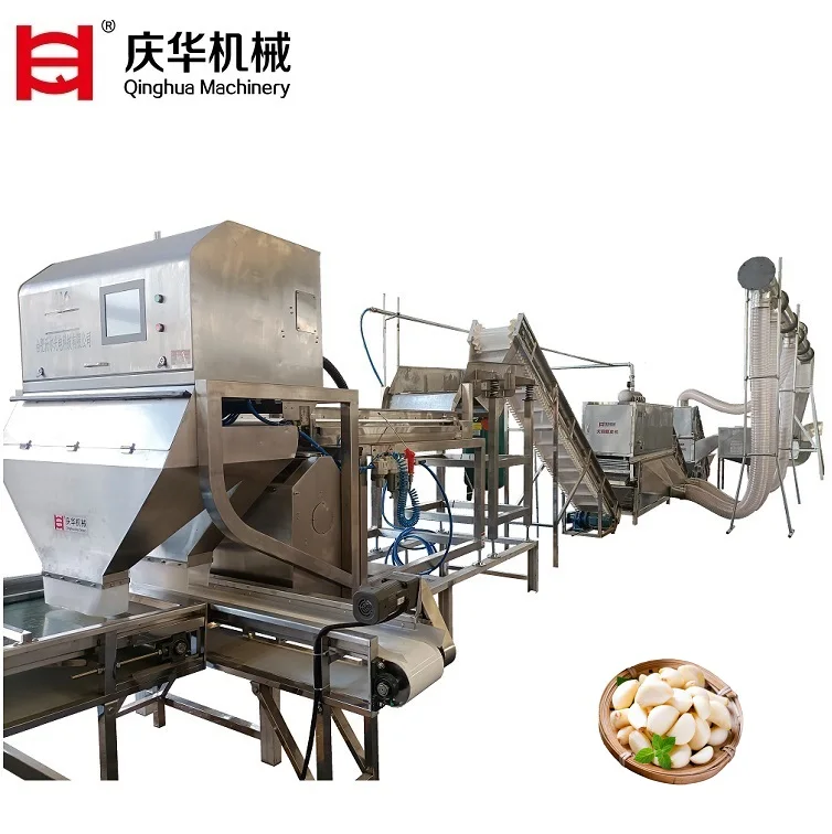 March expo hot selling/Qinghua automatic garlic peeling machine / peeling garlic  machine line