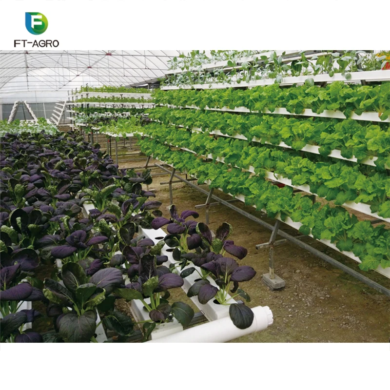 Гидропонная система водосточных желобов NFT с индивидуальным дизайном для