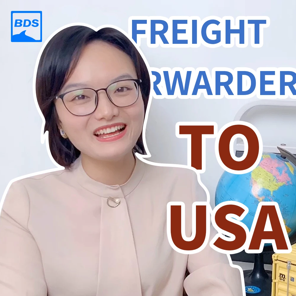 
freight forwarder/shipping agent from china to usa 