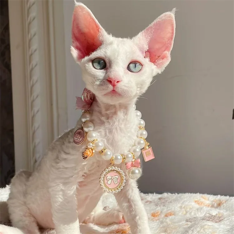 Wholesale Luxury designer cat dog pearl necklace adjustable pet collar jewelry dog accessories