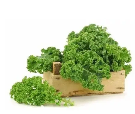 
Cold resistant pink and green color kale seeds 