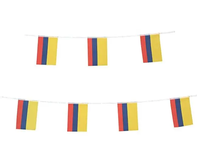2021 high quality custom digital print polyester Columbia bunting string flags