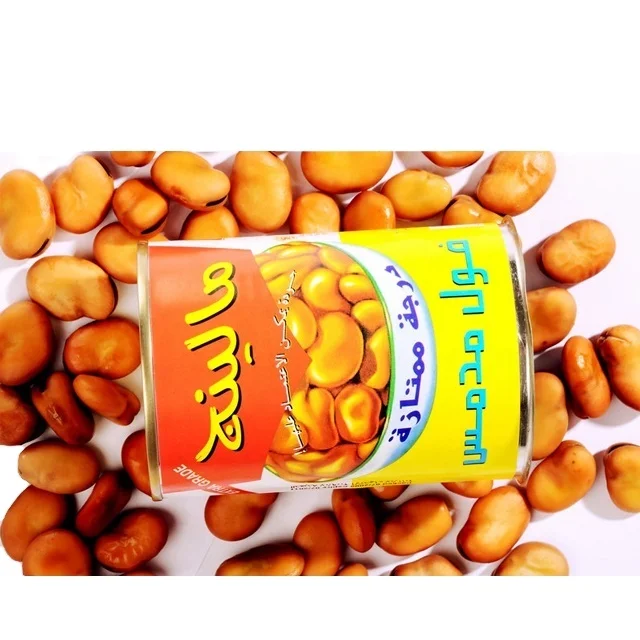bulk fava beans foul medames in tins for sale canned broad beans red beans