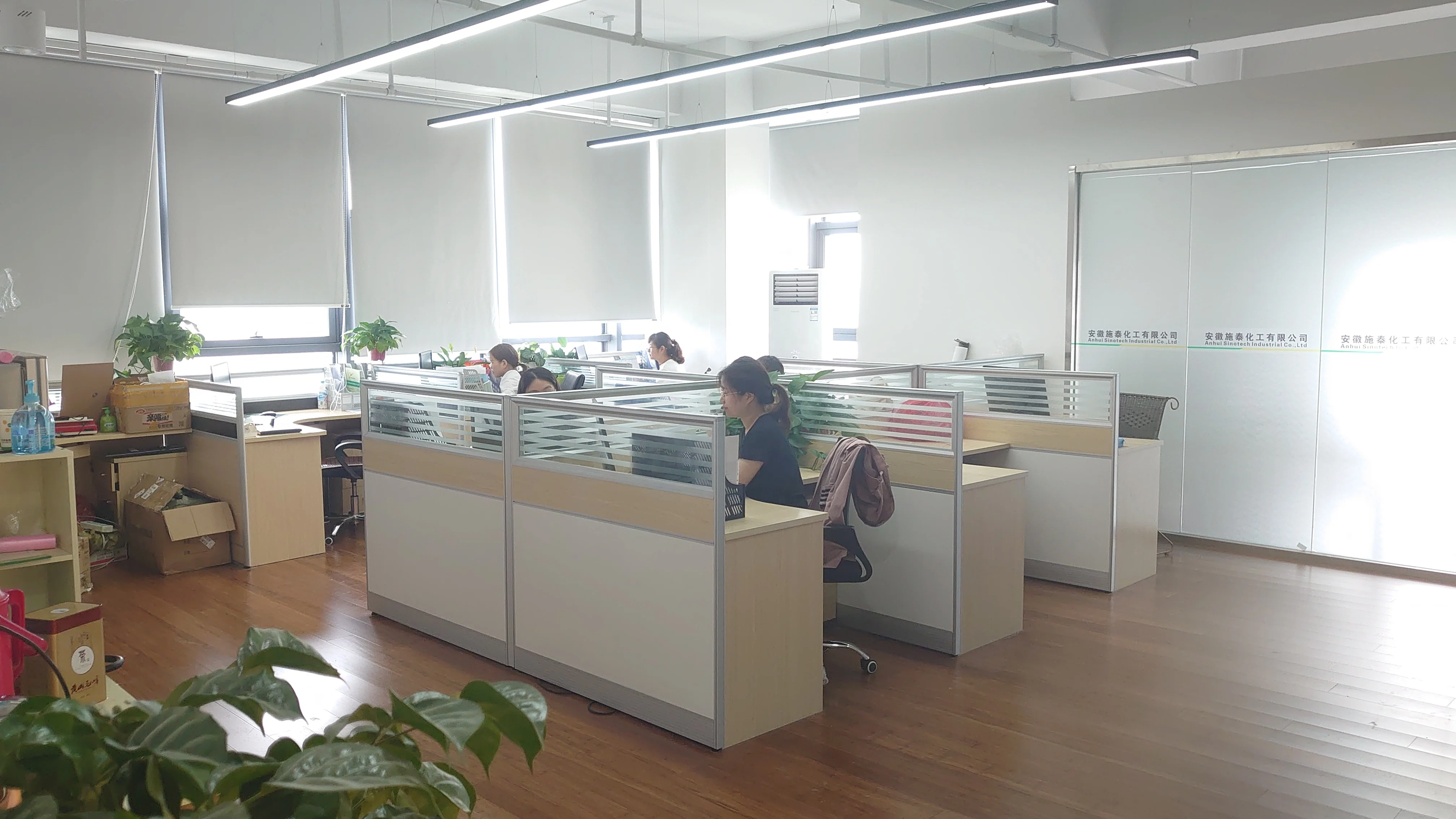 
Sinotech Good Price Azoxystrobin Difenoconazole 50%wdg 25% sc 250g/l sc on Sale 