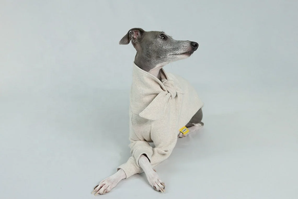 Qiqu Pet Supplies Custom New Designer Italian Greyhound Stylish Ribbon Point T-shirt Wear Sweatshirt with Bow Tie for Small Dog