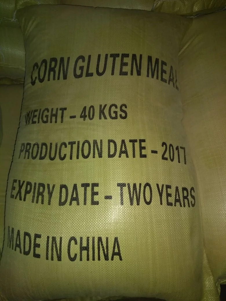 Corn Gluten Meal for 60%