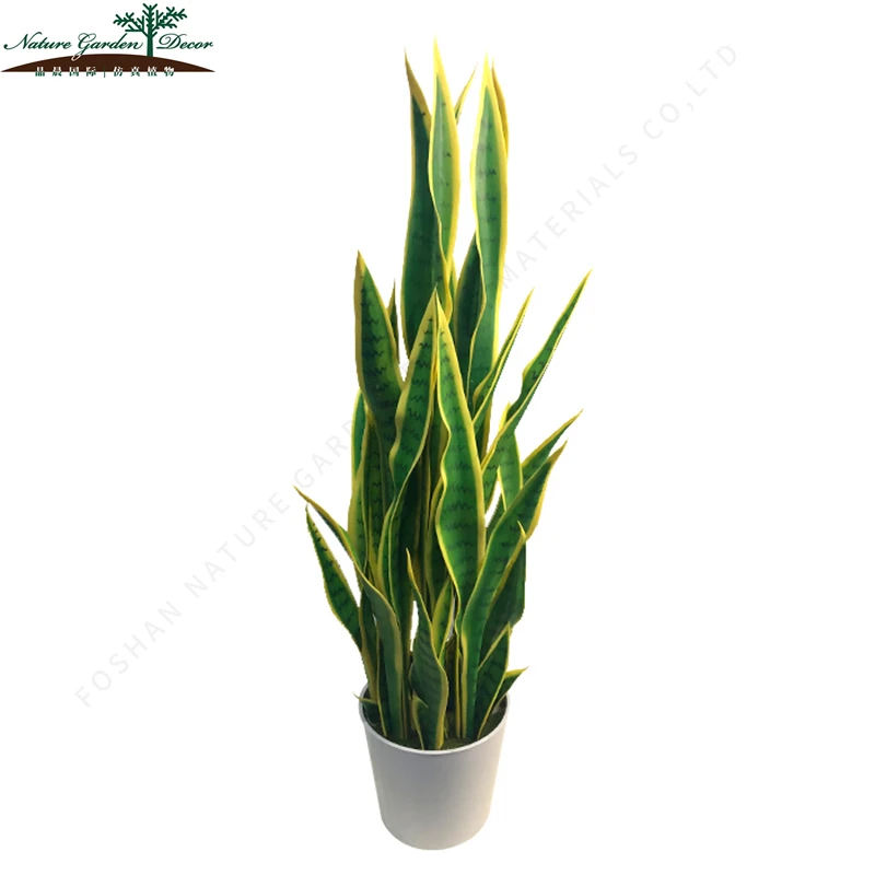 Продается шелк Золотой сансевиерия Cylindrica растение Agave Americana