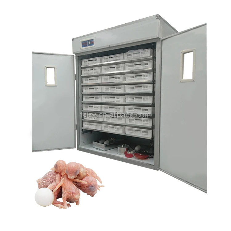 Incubator 48 Incubator Chicken Incubator Price In Nepal