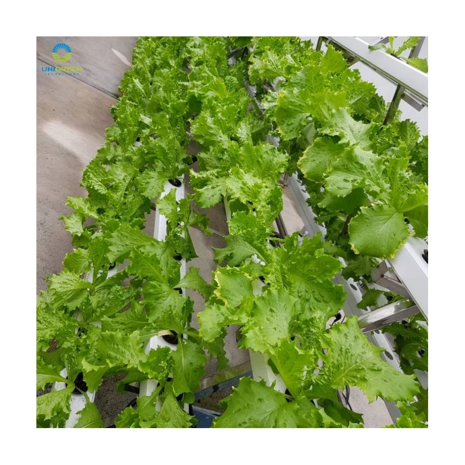 Vertical Nft Hydroponic Growing System Pvc Square Nft Pipe A Type Hydroponic Vertical Leaf Vegetable Nft Channel For Greenhouse