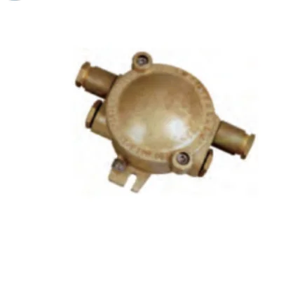 IP56 Code 510 Explosion-proof Junction Box dCJXH202-1