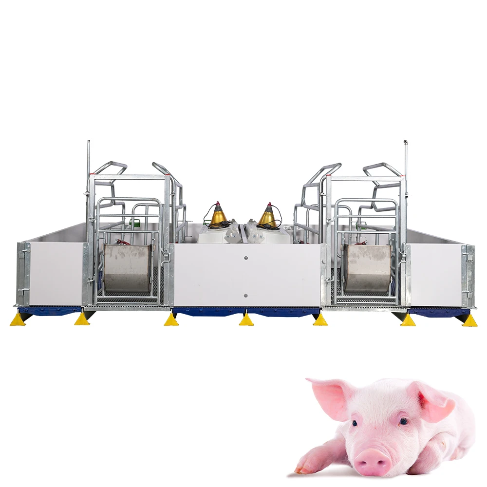 2021 дешевое оборудование для разведения свиней, ларек для отлучения, детские ручки для свиней во время беременности