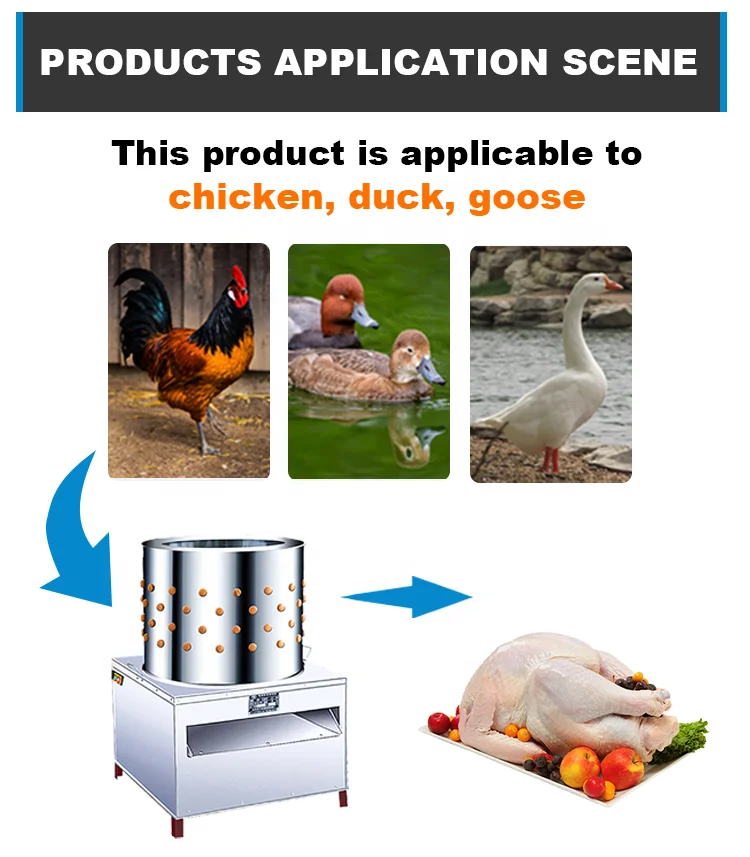 Best Quality Plucking Machine Chicken Plucker Chicken Plucking Machine