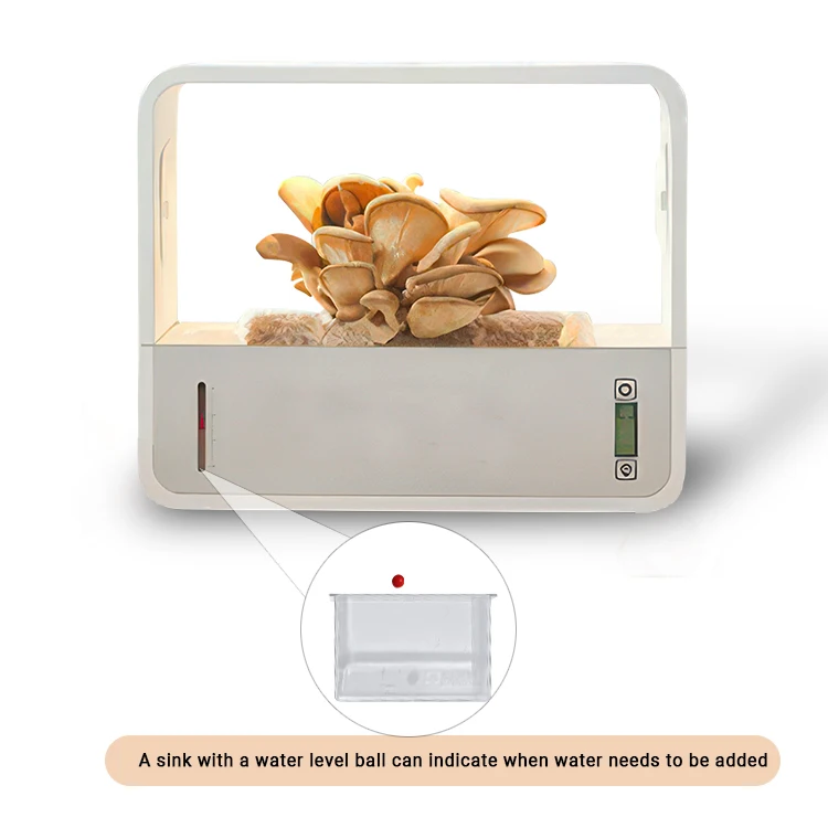 A+ quality Vertical Farming Cheap Full Kit Grow Plant Large Complete Mushroom growing Kit