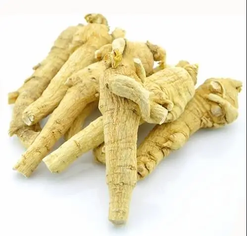 
american ginseng Chinese medicinal materials Pure natural herbaceous plant American ginseng 