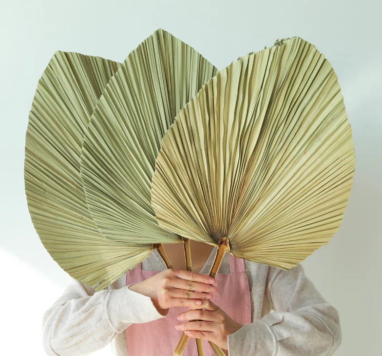 Every Love high quality natural color dried flower big palm  Leaves Fan leaf Bleached for Wedding Flower Arranging Decoration