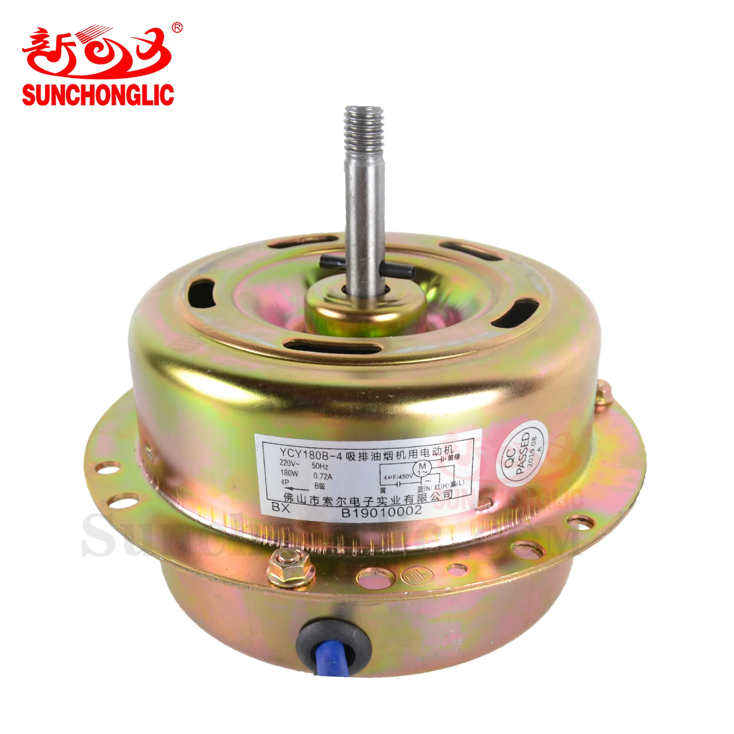 B19010002 16180W.jpg