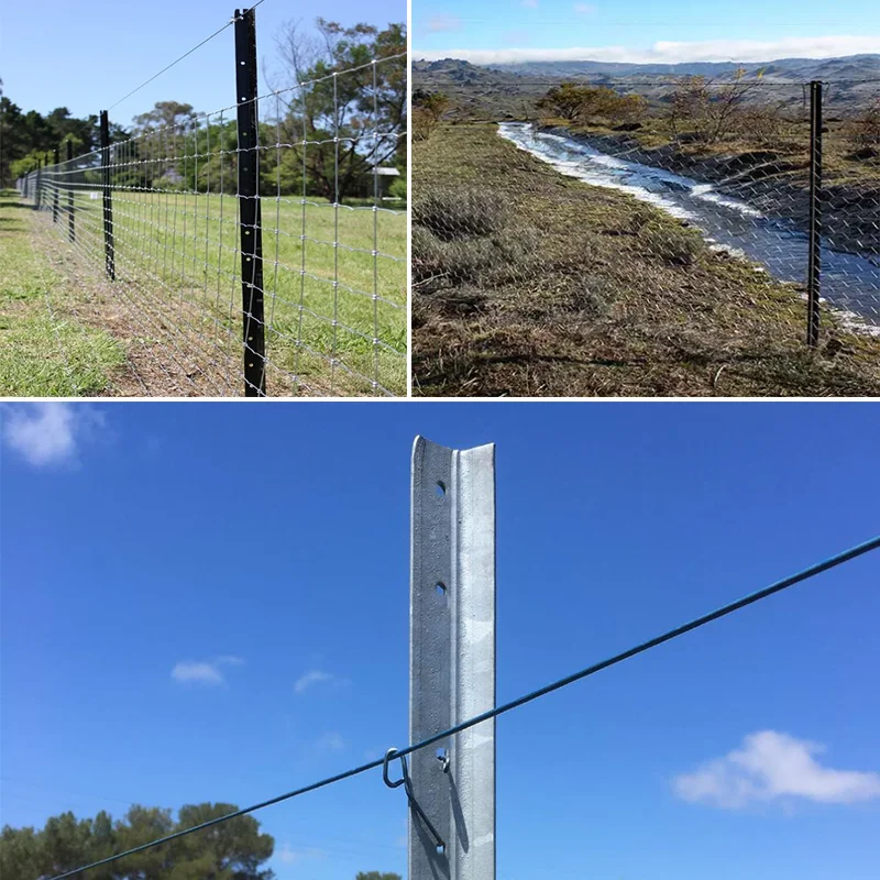 Factory Price Australian Standard Customized Size and Weight Rail Steel Y Post / Star Picket For Farm Fence Posts