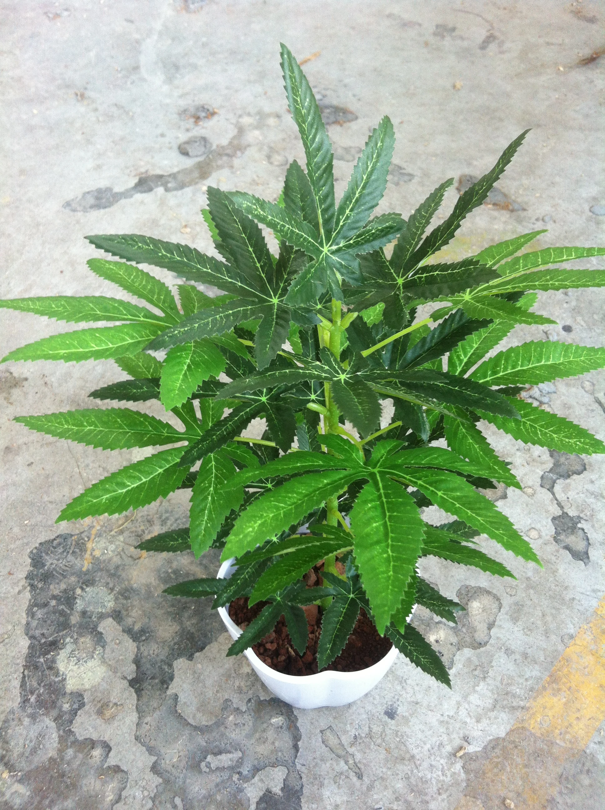 Wholesale Artificial cannabis plant plastic cannabis plant
