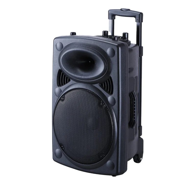 Portable/Mobile Speaker (built in 15 inches speaker and wireless microphone, portable, power source AC/DC)