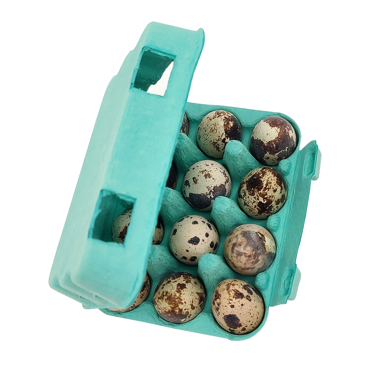 Wholesale Colored Paper Pulp Quail Egg Cartons Egg Tray - 6/10/12/18 Cells