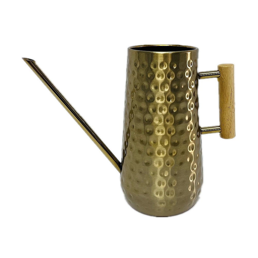 1.6L 1.3L Stainless steel Watering Pot Gardening Embossed Watering Can for Indoor Plants with Long Spout Easy Houseplant