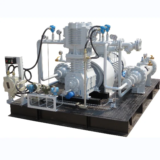 Best-Selling Noiseless Oil-Free Air Compressor CNG Natural Gas for CNG Filling Station