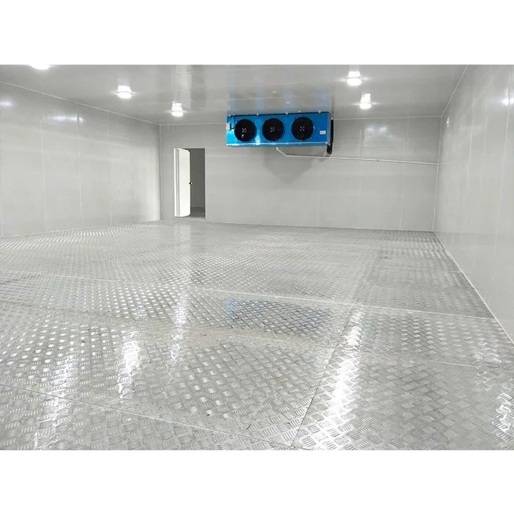 Large 1000 Tons Cold Storage for Onion