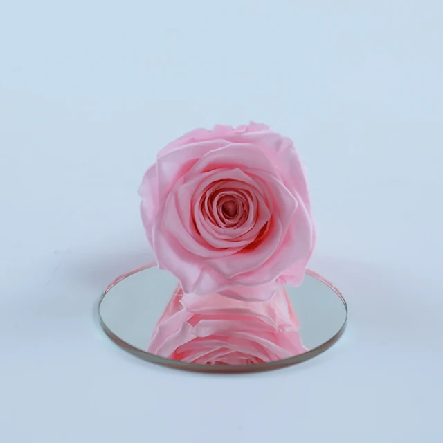 every love preserved rose grade b 5-6 cm black blue pink real touch rose eternal forever flower head bud in a box