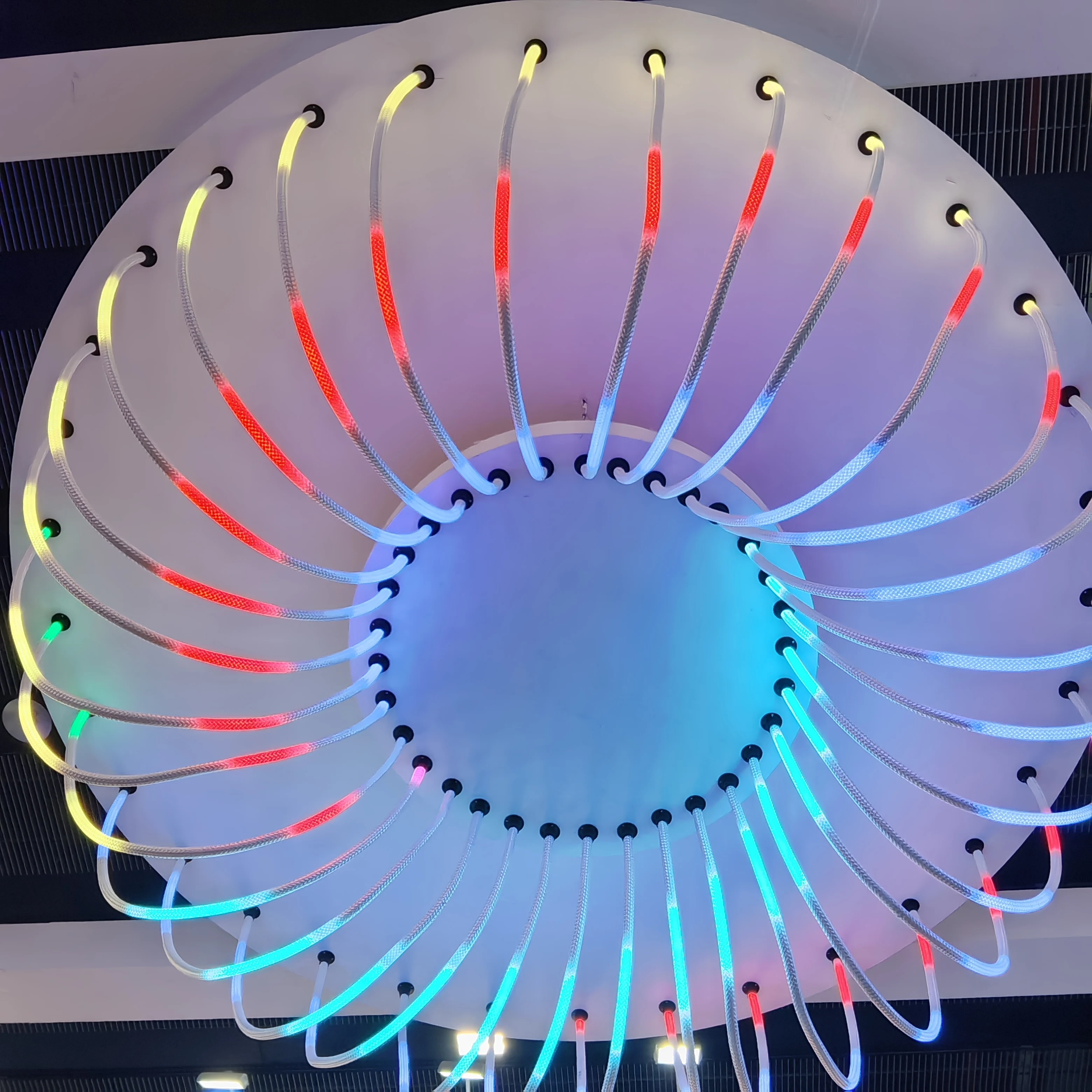 Smart WIFI Control Neon Tube Best Selling 360degree RGBIC LED Strip Light Dream Color 24v 12v
