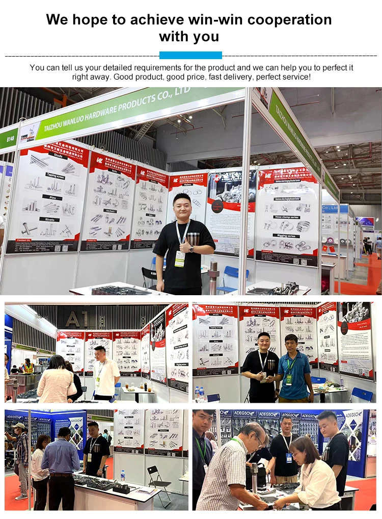 China Wing Nut Supplier Butterfly Special Stainless Steel Din315 Wing Nuts