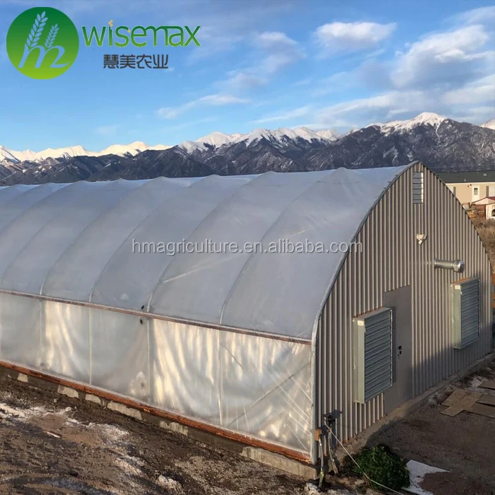 American Standard Automatic Light Dep Cbd Greenhouse for Medical Plants