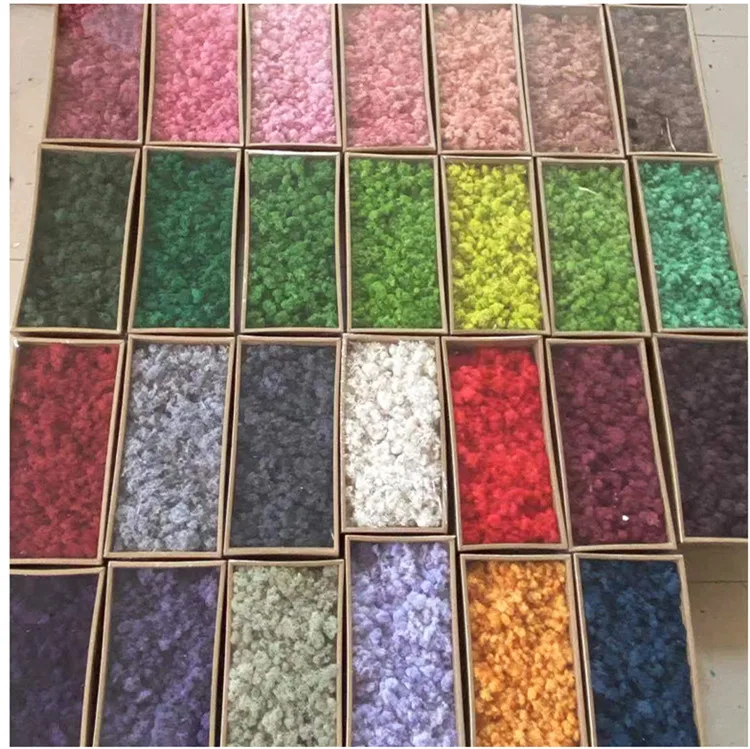 Wholesale Stabilized Preserved Moss and Lichens Long Lasting Green Plants for Home Wall Art Terrarium and Wedding Decoration